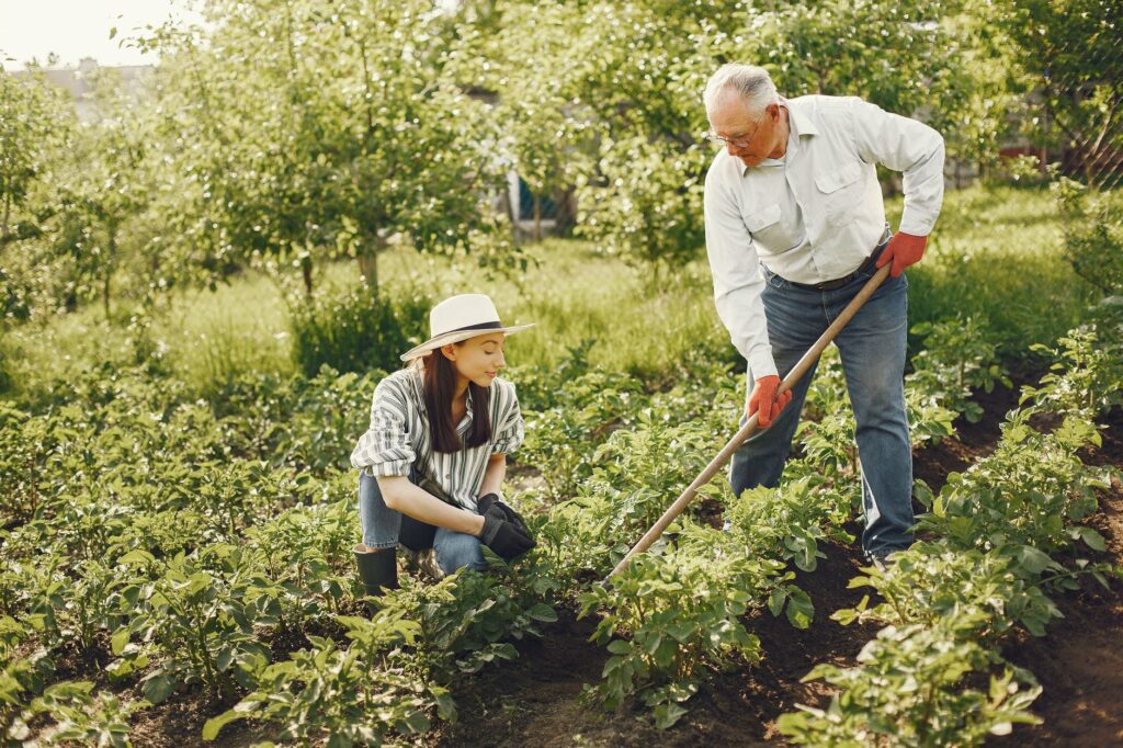 gardening